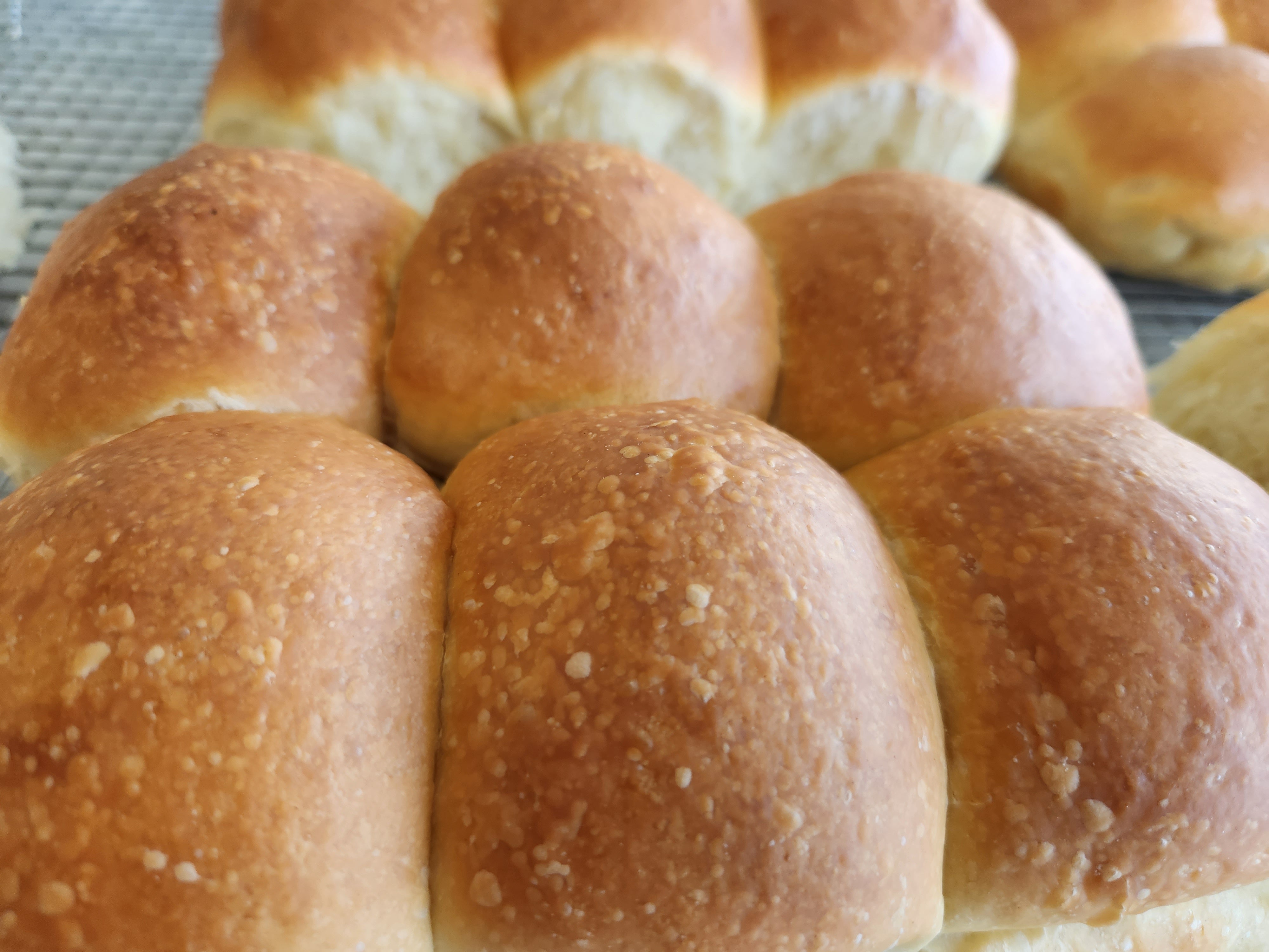 Pre-Order Christmas Dinner Rolls (6 pack)