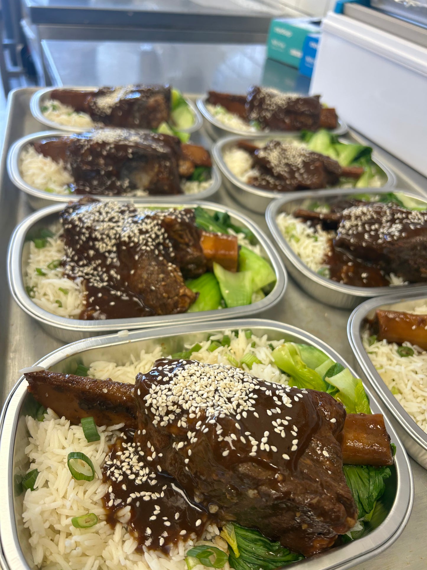 Hoisin Beef Shortrib w/ Bok Choy & Basmati Rice