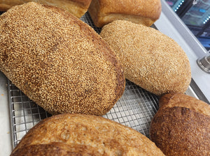 Pre-Order Thanksgiving Caraway Seeded Country Sourdough