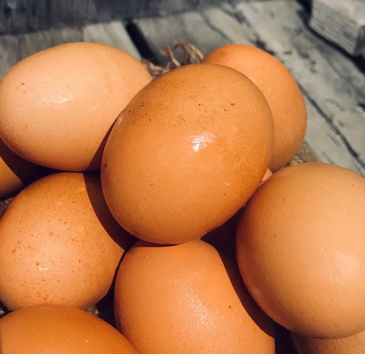 Beking’s Free Roaming Brown Eggs